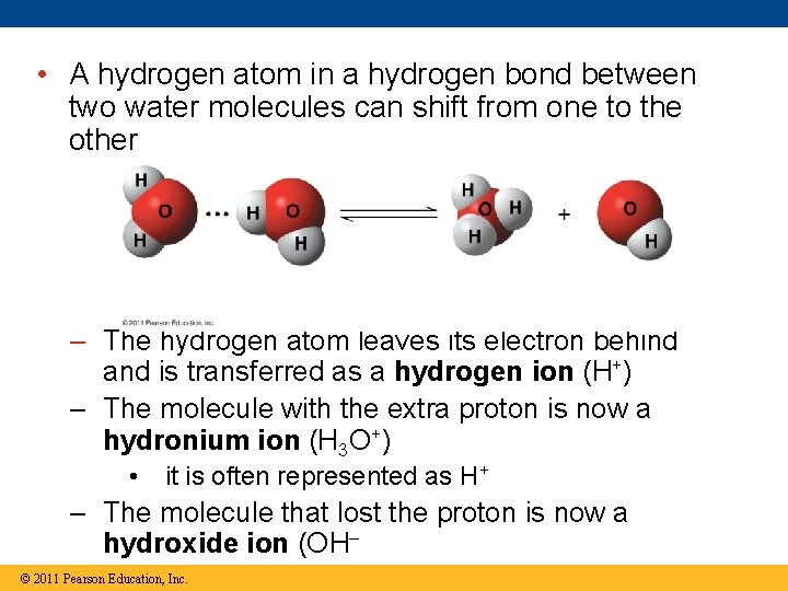  • A hydrogen atom in a hydrogen bond between two water molecules can