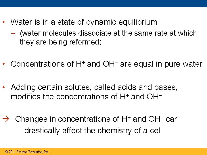  • Water is in a state of dynamic equilibrium – (water molecules dissociate