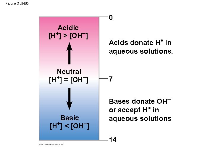 Figure 3. UN 05 0 Acidic [H+] > [OH ] Neutral [H+] = [OH
