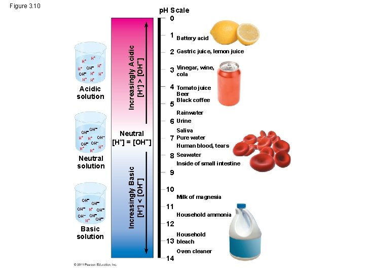 Figure 3. 10 H+ H+ + OH H H+ H+ Acidic solution Increasingly Acidic