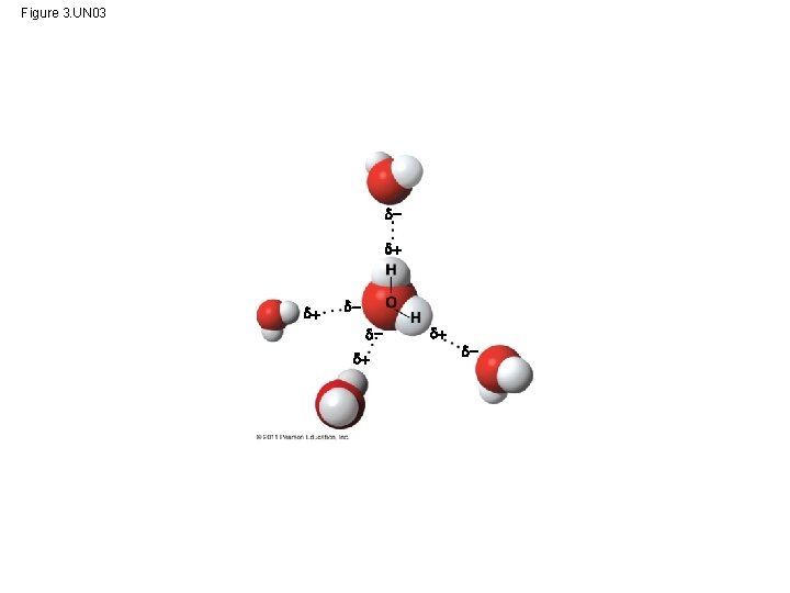 Figure 3. UN 03 