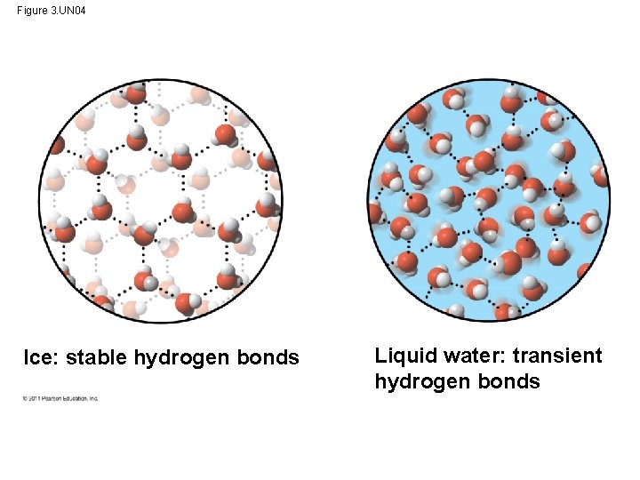 Figure 3. UN 04 Ice: stable hydrogen bonds Liquid water: transient hydrogen bonds 