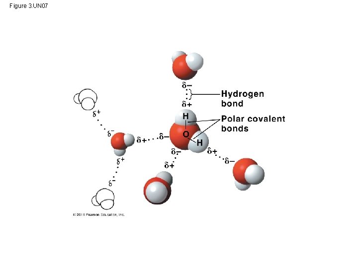 Figure 3. UN 07 