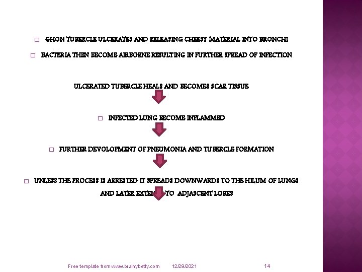 � � GHON TUBERCLE ULCERATES AND RELEASING CHEESY MATERIAL INTO BRONCHI BACTERIA THEN BECOME