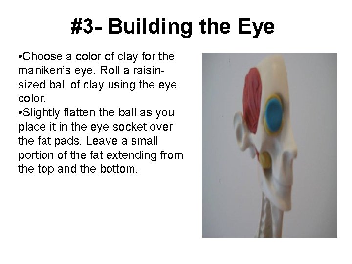 #3 - Building the Eye • Choose a color of clay for the maniken’s