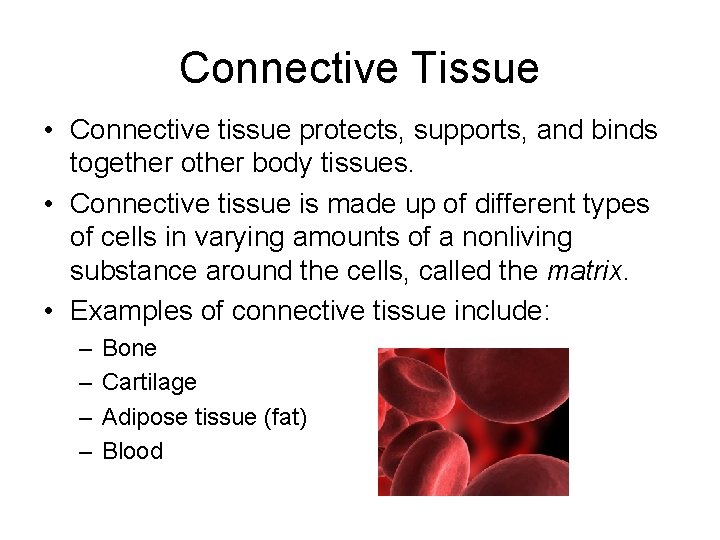 Connective Tissue • Connective tissue protects, supports, and binds together other body tissues. •