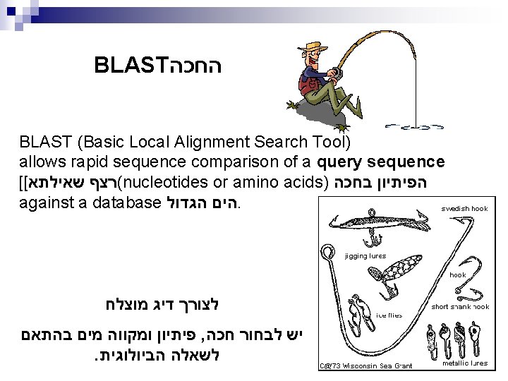 BLAST החכה BLAST (Basic Local Alignment Search Tool) allows rapid sequence comparison of a