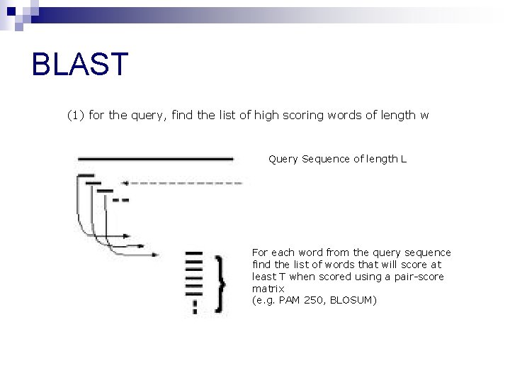 BLAST (1) for the query, find the list of high scoring words of length