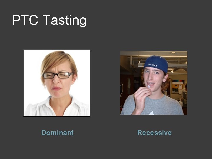 PTC Tasting Dominant Recessive 