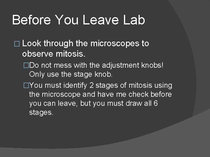 Before You Leave Lab � Look through the microscopes to observe mitosis. �Do not