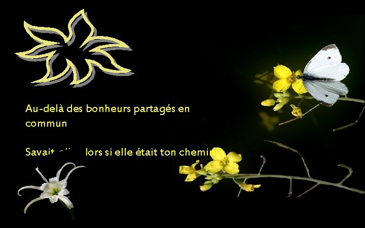 Au-delà des bonheurs partagés en commun Savait-elle alors si elle était ton chemin ?