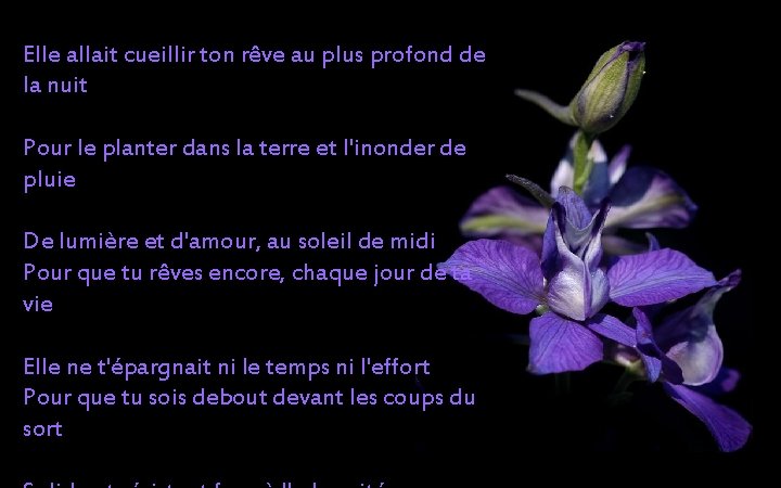 Elle allait cueillir ton rêve au plus profond de la nuit Pour le planter