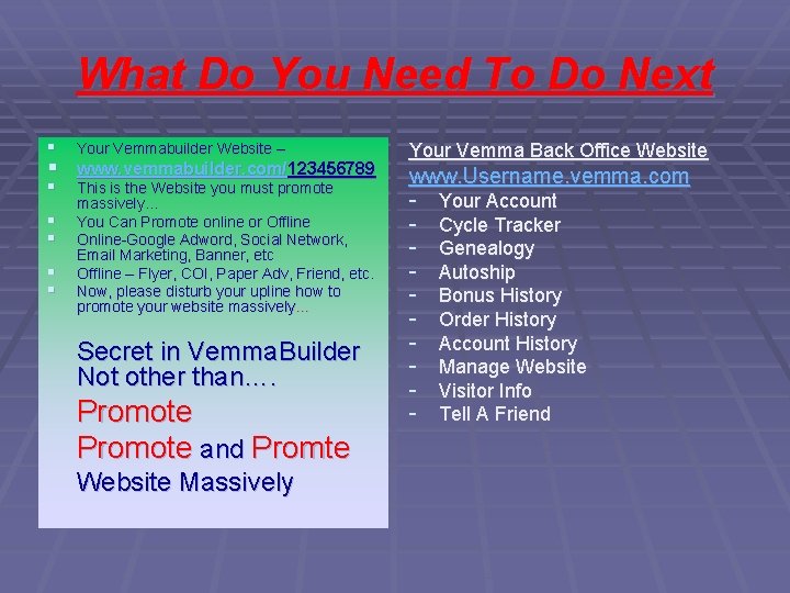 What Do You Need To Do Next § Your Vemmabuilder Website – § This