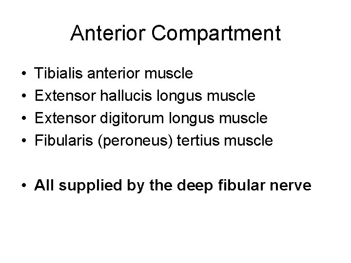 Anterior Compartment • • Tibialis anterior muscle Extensor hallucis longus muscle Extensor digitorum longus