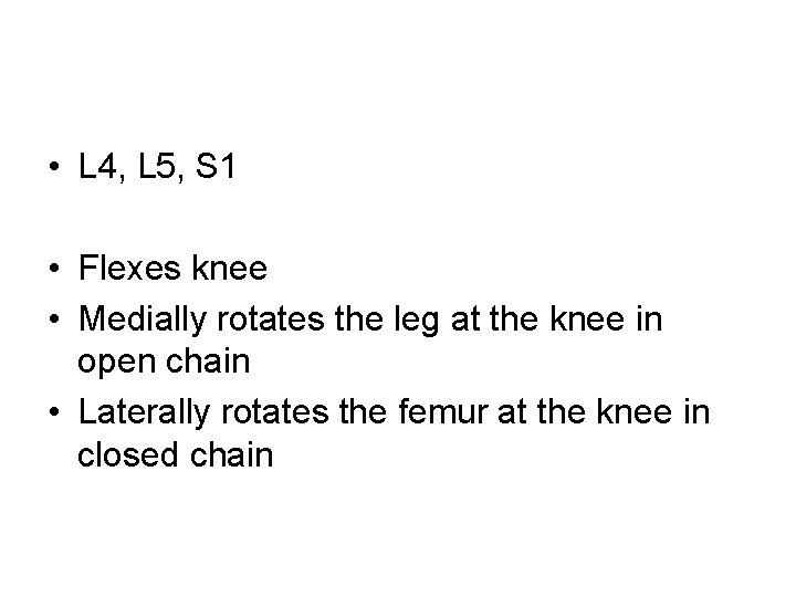  • L 4, L 5, S 1 • Flexes knee • Medially rotates