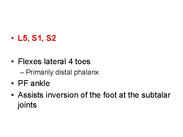  • L 5, S 1, S 2 • Flexes lateral 4 toes –