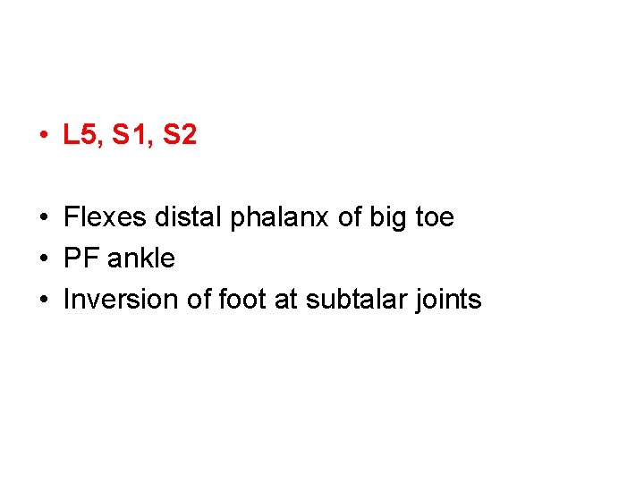  • L 5, S 1, S 2 • Flexes distal phalanx of big