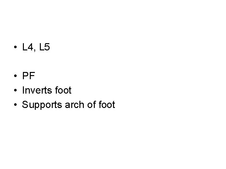  • L 4, L 5 • PF • Inverts foot • Supports arch