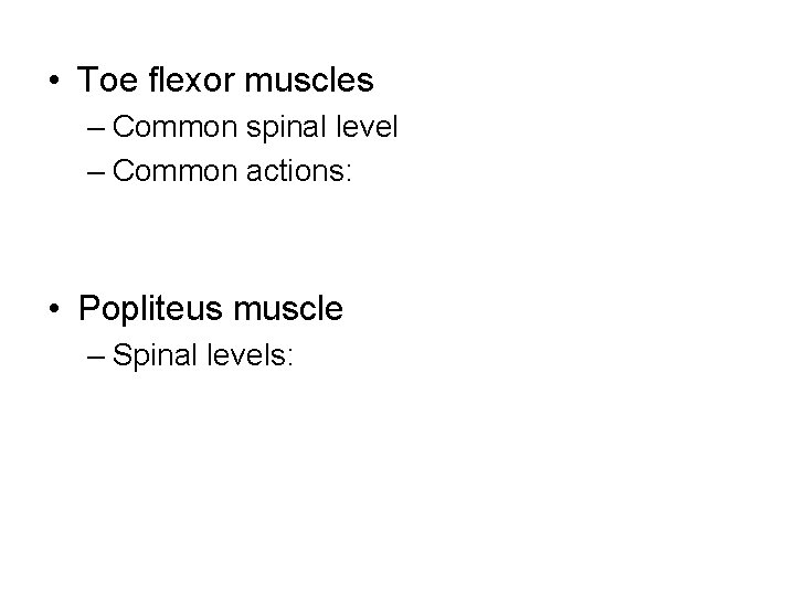  • Toe flexor muscles – Common spinal level – Common actions: • Popliteus