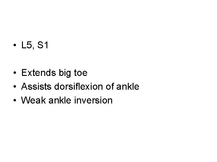  • L 5, S 1 • Extends big toe • Assists dorsiflexion of
