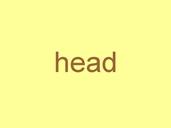 head 