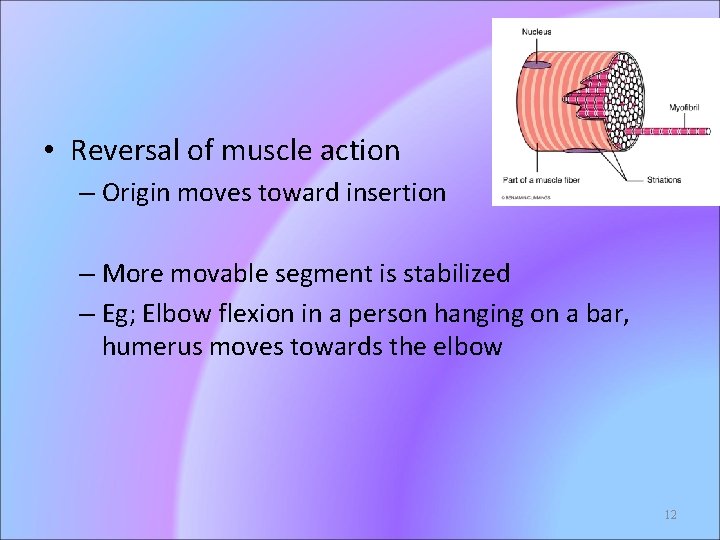  • Reversal of muscle action – Origin moves toward insertion – More movable