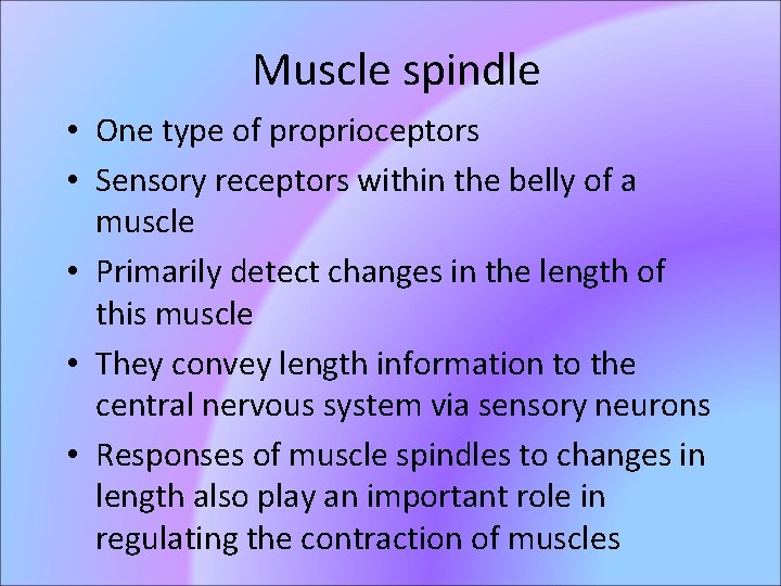 Muscle Mechanics Muscles are named by Location Shape