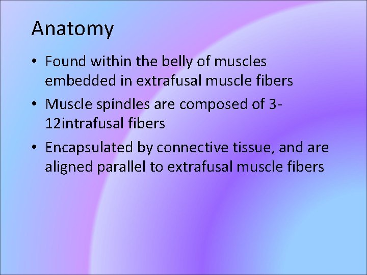Anatomy • Found within the belly of muscles embedded in extrafusal muscle fibers •