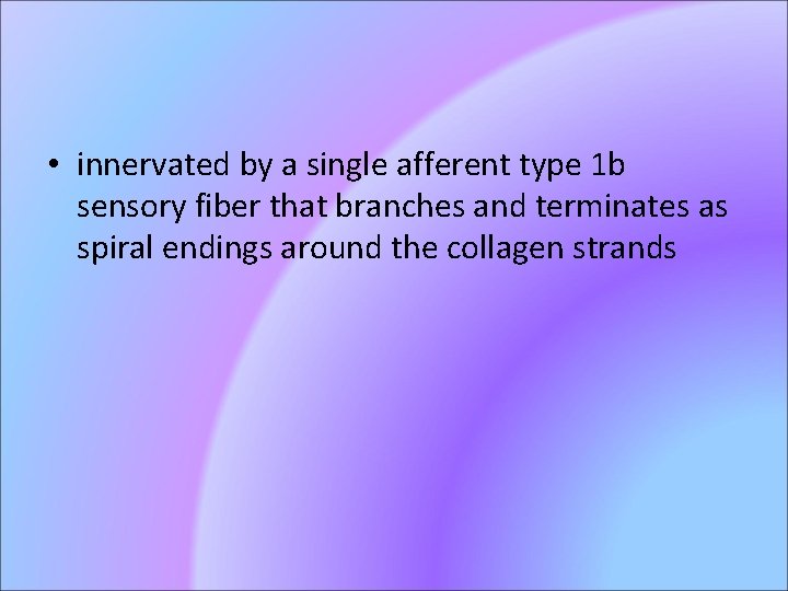  • innervated by a single afferent type 1 b sensory fiber that branches