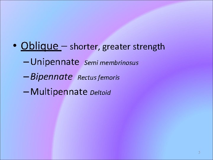  • Oblique – shorter, greater strength – Unipennate Semi membrinosus – Bipennate Rectus