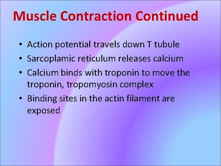 Muscle Contraction Continued • Action potential travels down T tubule • Sarcoplamic reticulum releases