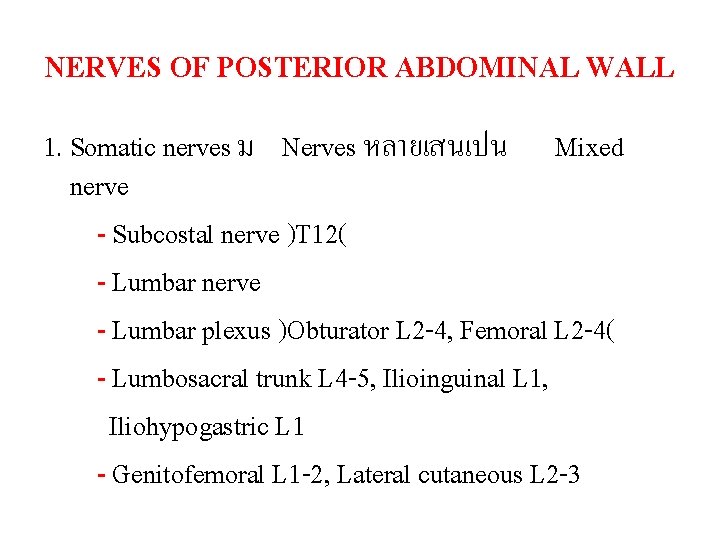 NERVES OF POSTERIOR ABDOMINAL WALL 1. Somatic nerves ม Nerves หลายเสนเปน Mixed nerve -