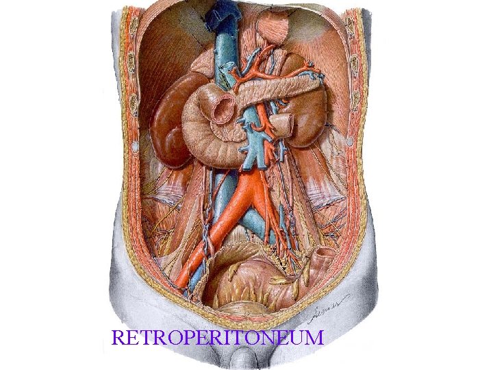 RETROPERITONEUM 