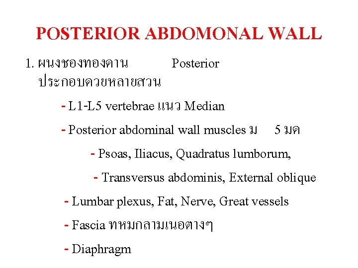 POSTERIOR ABDOMONAL WALL 1. ผนงชองทองดาน Posterior ประกอบดวยหลายสวน - L 1 -L 5 vertebrae แนว