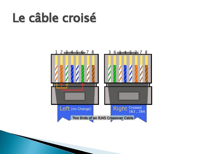 Le câble croisé 