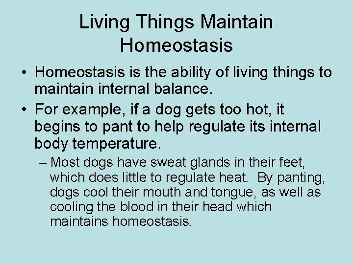 Living Things Maintain Homeostasis • Homeostasis is the ability of living things to maintain