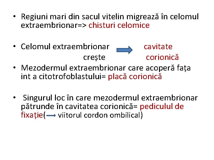  • Regiuni mari din sacul vitelin migrează în celomul extraembrionar=> chisturi celomice •