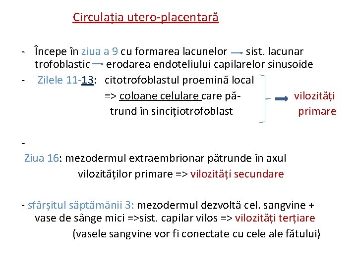 Circulația utero-placentară - Începe în ziua a 9 cu formarea lacunelor sist. lacunar trofoblastic