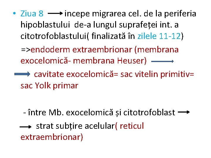  • Ziua 8 incepe migrarea cel. de la periferia hipoblastului de-a lungul suprafeței