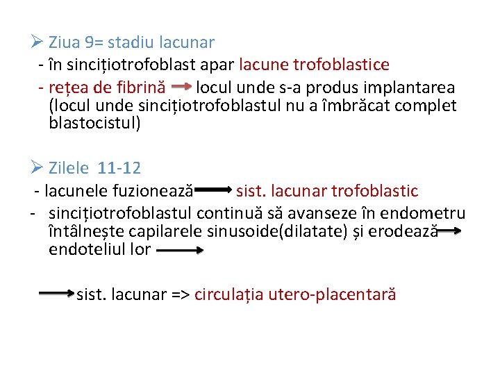Ø Ziua 9= stadiu lacunar - în sincițiotrofoblast apar lacune trofoblastice - rețea de