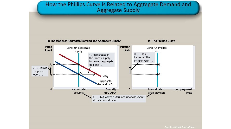 How the Phillips Curve is Related to Aggregate Demand Aggregate Supply (a) The Model