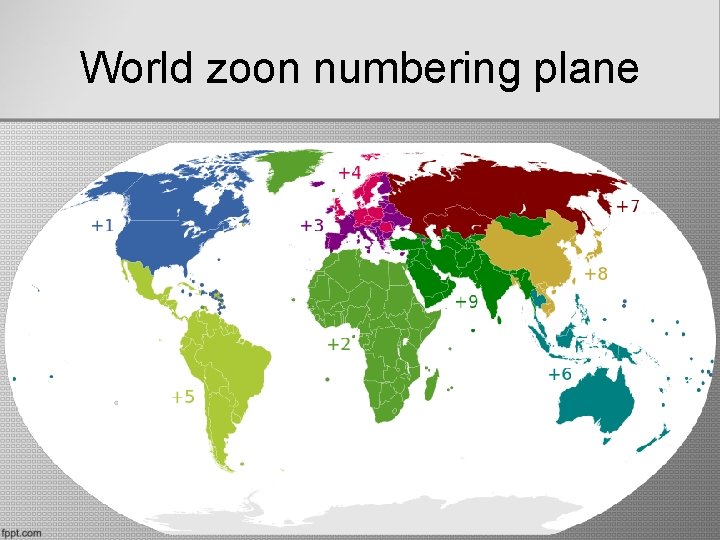 World zoon numbering plane 