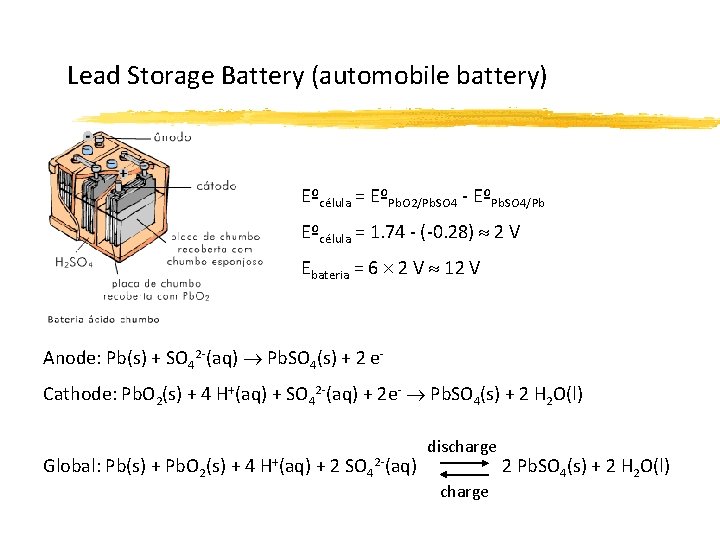 Lead Storage Battery (automobile battery) Eºcélula = EºPb. O 2/Pb. SO 4 - EºPb.