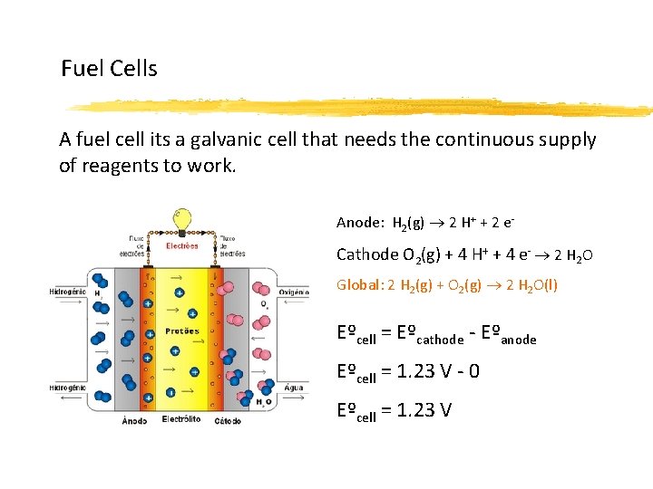 Fuel Cells A fuel cell its a galvanic cell that needs the continuous supply
