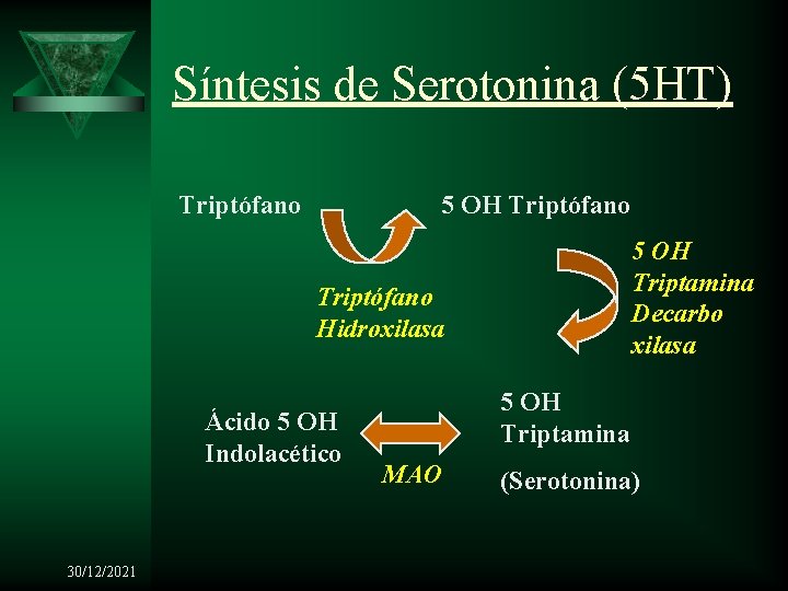Síntesis de Serotonina (5 HT) Triptófano 5 OH Triptamina Decarbo xilasa Triptófano Hidroxilasa Ácido