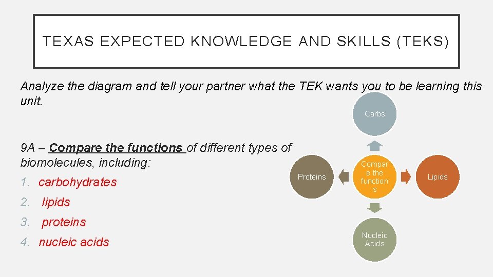 TEXAS EXPECTED KNOWLEDGE AND SKILLS (TEKS) Analyze the diagram and tell your partner what