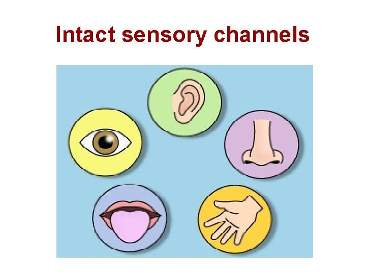 Intact sensory channels 