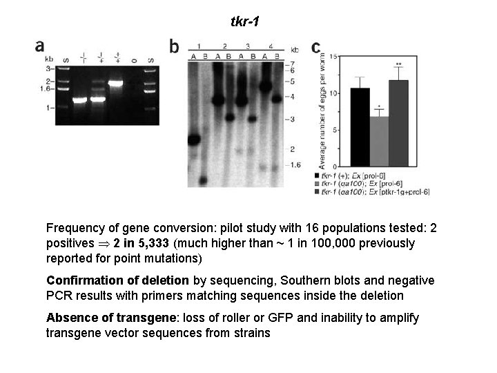 Targeted gene alteration in Caenorhabditis elegans by gene