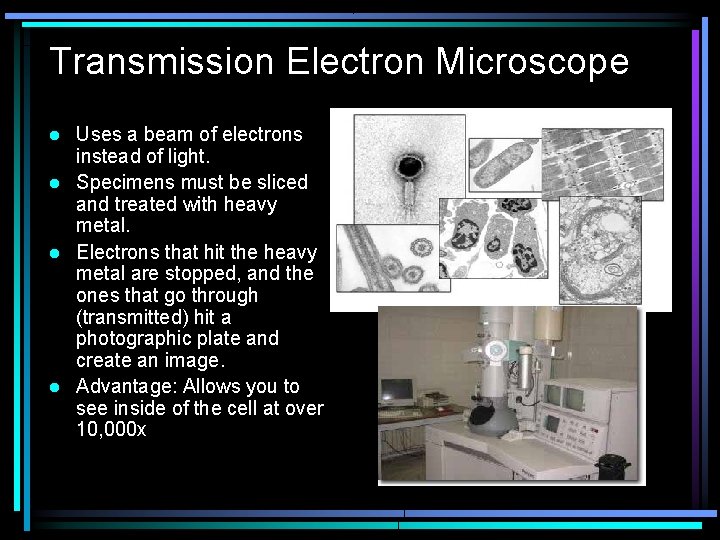 Transmission Electron Microscope Uses a beam of electrons instead of light. l Specimens must