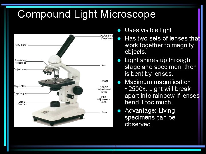 Compound Light Microscope l l l Uses visible light Has two sets of lenses